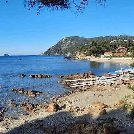 Les Bois Flottes . Plage De La Verne La Seyne-sur-Mer Exterior foto